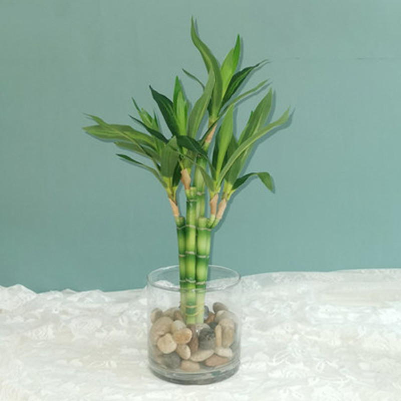 New 40cm rFtificial Lucky Bamb - огляд і ціна Desk Setup Green