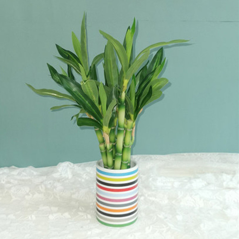 New 40cm rFtificial Lucky Bamb - огляд і ціна Desk Setup Green