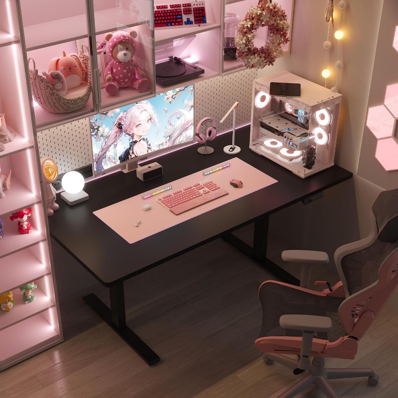 FLEXISPOT Electric Standing De - огляд і ціна Dual Monitor Desk Setup