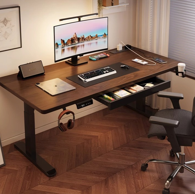 Modern Iron Dual Motor Electri - огляд і ціна Dual Monitor Desk Setup